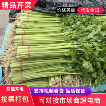 精品芹菜，基地直供，货量充足质量保证，视频看货