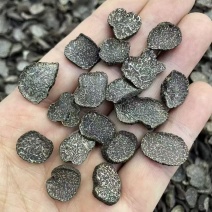 黑松露干片黑松露黑松露干片批发