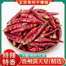 贵州满天星干辣椒新品上市现货供应对接全国量大质优