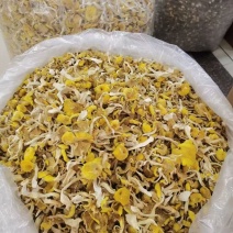 鸡油菌云南鸡油菌鸡油菌云南鸡油菌批发