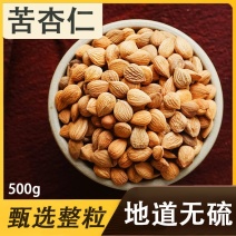 新货承德野生苦杏仁药用中药材山北杏仁坚果原味生的新鲜50