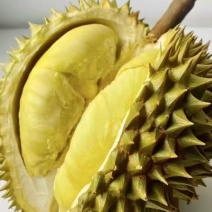 【热卖推荐】金枕榴莲大量有货一手货源产地直发