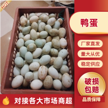 鸭蛋,自家桃园里散养鸭子绿壳鸭蛋量大从优。
