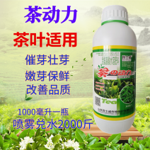 茶叶拉尖催芽剂芽多芽壮茶叶专用肥爆芽多芽抗寒增产促长叶肥