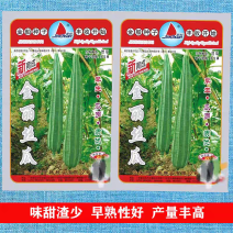 金丽丝瓜种子早熟瓜多皮色翠绿肉质脆嫩味甜化渣