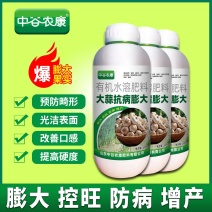 胖大蒜大蒜专用膨大增产预防干尖黄叶生根壮苗易抽薹抗逆
