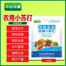 农用小苏打粉增产碳酸氢钠种菜花卉种植农作物防虫害蔬菜农业