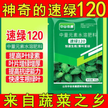 速绿120黄叶变绿叶面肥中量元素水溶肥一喷绿叶片增厚强光