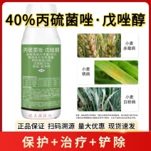 40%丙硫菌唑·戊唑醇杀菌剂小麦白粉病叶斑病锈病赤霉病