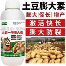 土豆膨大素土豆地下猛长膨大素土豆马铃薯膨大剂增产土豆
