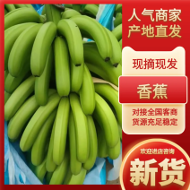 云南河口新鲜香蕉热带水果直供香甜可口品质佳