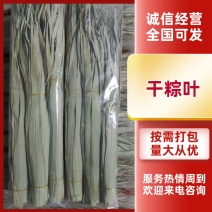 干粽叶粽叶大量供应可视频看货品质保证全国发货