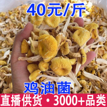 鸡油菌干货黄丝菌榆黄菌干货遇难特产大货批发