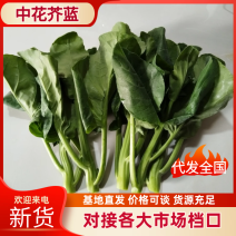 中花芥蓝，产地直供，长期供货，品质保证，诚信经营。