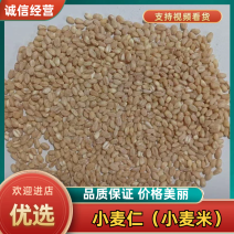 小麦仁小麦米河南精品小麦仁，大量现货供应，可视频看货