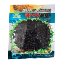 油葵种子三系杂交矮大头WF667向日葵种子高产油率72%