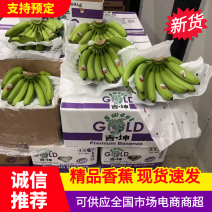 新鲜优质香蕉，口感香甜，营养丰富，健康美味，尽在您的餐桌！