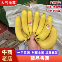 新鲜优质香蕉，口感香甜，营养丰富，健康美味，尽在您的餐桌！