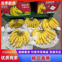 口感软糯香甜颜色金黄不受寒黄金蕉无花皮无黑心无硬心