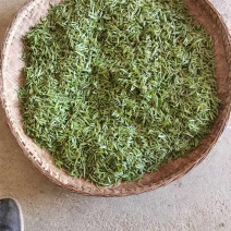 绿茶