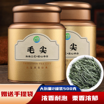 明前毛尖茶新茶浓香型高山绿茶春茶嫩芽茶叶罐装500克