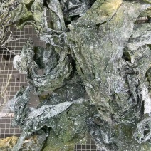 半干日晒海带边绿边4-6倍泡发率凉拌包饭