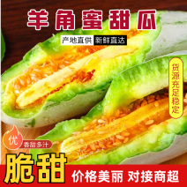 羊角蜜甜瓜（山东甜瓜）产地直供一手货源脆甜多汁