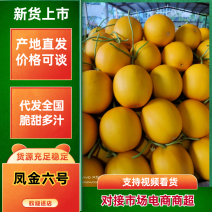 [产地发货]精品黄金6号甜瓜现已大量上市中，货源充足