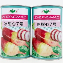 冰甜心7号三色冰淇淋萝水果萝卜种子冰激凌甜心萝卜种子