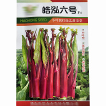 红菜苔种子小叶型绿心甜味早熟耐热耐寒浩宏六号