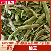 油豆山东油豆大量供应对接全国市场电商商超