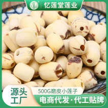 湖南湘潭去芯磨皮小白莲厂家直供支持一件代发