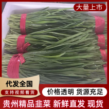 精品韭菜小叶韭菜大量供应，产地直发，品质保证，量大从优