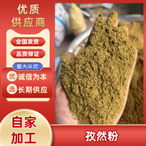 新疆孜然粉孜然颗粒电商货，专业批发，有需要联系