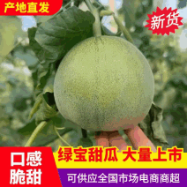 绿宝甜瓜精品甜瓜一手货源产地直供口感脆甜代发全国