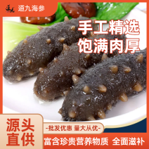 山东即食海参8-10头海参工厂直供支持定制