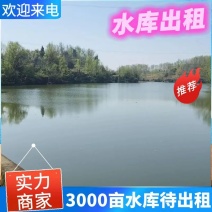石梯子水库/重庆垫江县3000亩水库出租/逐年缴费签合同