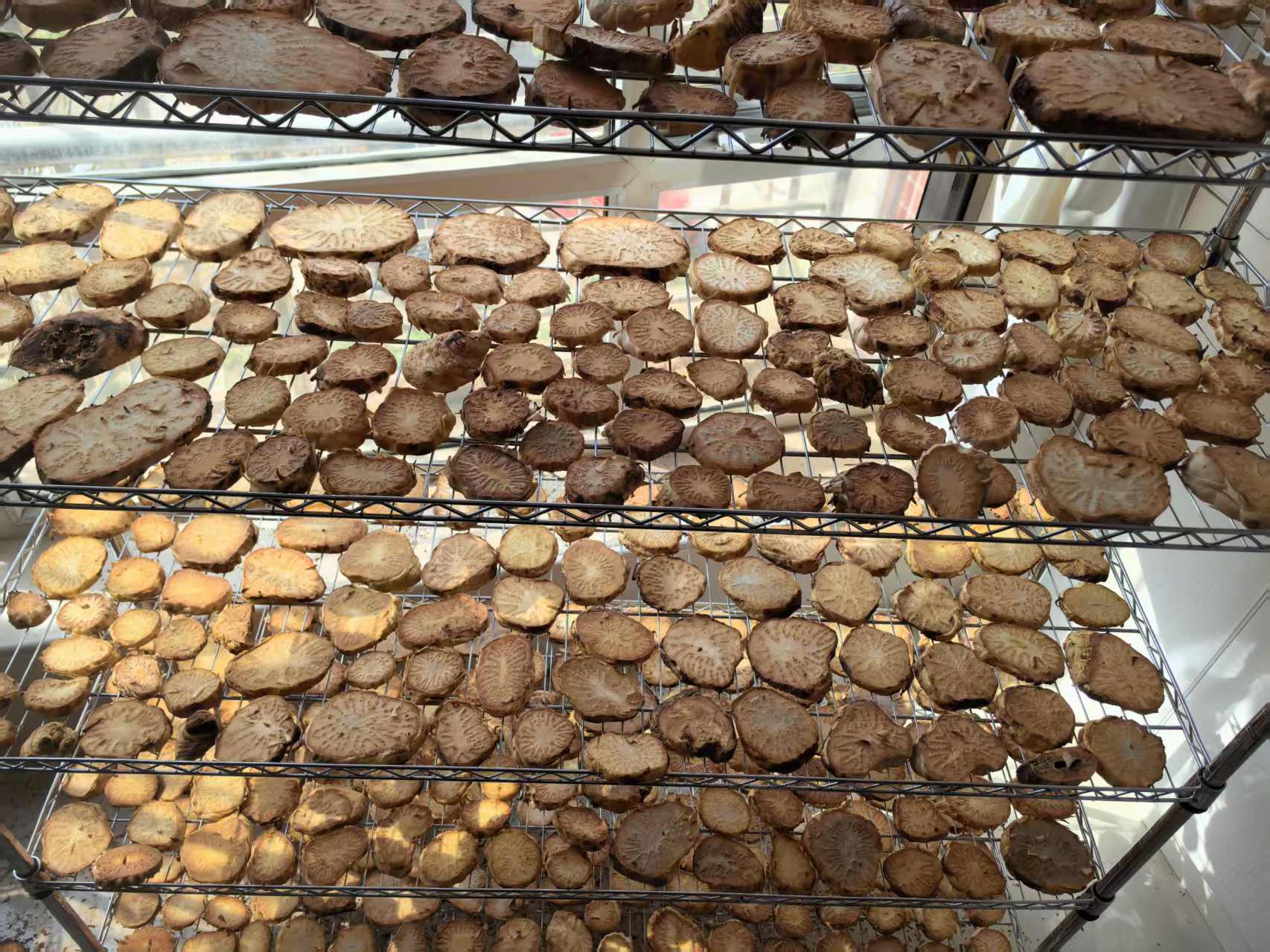 现代化中药饮片加工厂内景,不锈钢操作台上摆放着切片中的干燥肉苁蓉,工人佩戴口罩和手套进行分拣作业;背景可见自动化烘干设备与包装流水线,墙上张贴“GMP认证车间”标识 肉苁蓉加工车间场景