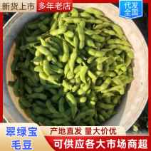 精品水洗毛豆75绿宝电商市场均有货对接全国市场价格低