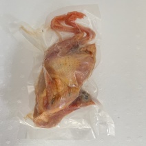 鹧鸪鸟白条真空包装品质保证顺丰包邮量大价优