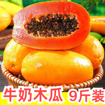 【一件代发】冰糖心牛奶木瓜超甜红心木瓜树上熟整箱批发水果