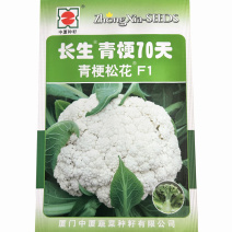 长生70天青梗松花菜种子白花散花耐热耐寒大田基地