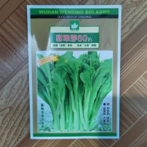 甜翠60白菜苔种子苔亮绿色苔叶尖小卖相好味甜抗病
