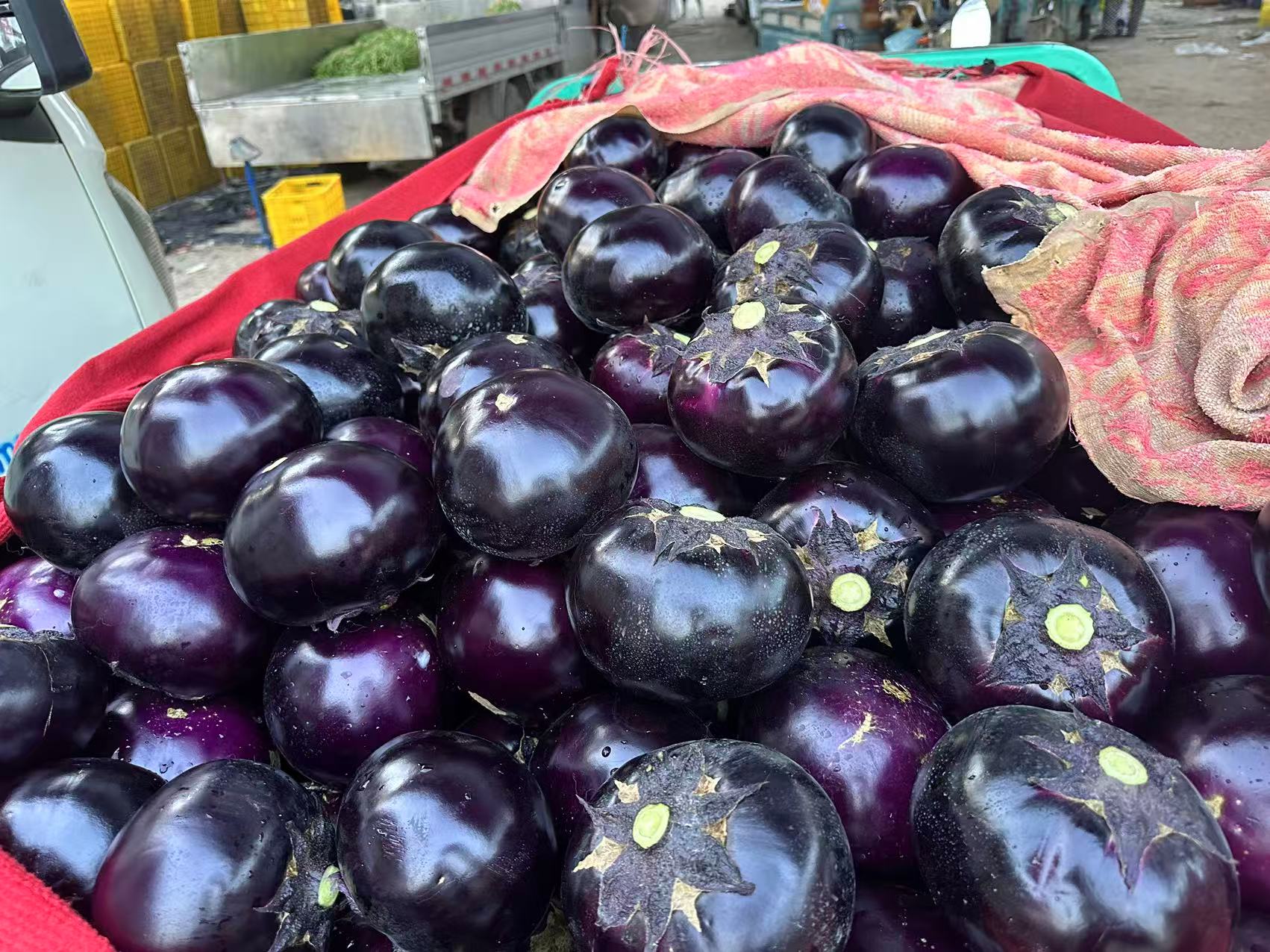 新鲜青茄子市场选购图