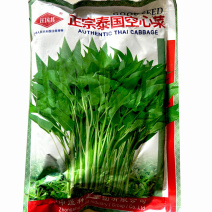 泰国空心菜种子竹叶耐热绿梗空心基地大田基地