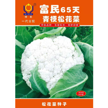 富民65天青梗松花菜种子2000粒花球松大耐热耐湿