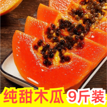 一件代发红心牛奶木瓜当日发货不压单价格超低