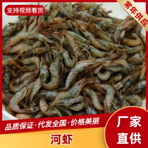 广东河虾常年大量现货供应，规格齐全，欢迎来电洽谈合作