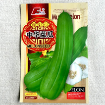 中华菜瓜种子梢瓜清香生食凉拌腌制耐热耐湿大田基地