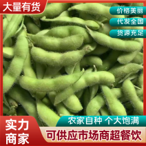 精品山东毛豆基地直发货量大对接全国市场